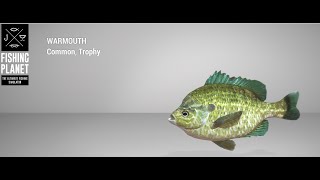 Fishing Planet  Blue Crab Island  Trophy  Warmouth  Feeder [upl. by Eelano]