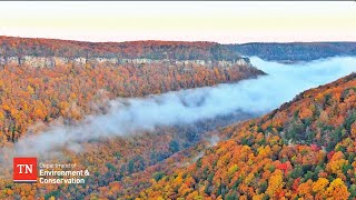 Governor Lee’s Conservation Tour North Chickamauga Creek Gorge State Park [upl. by Whitten]