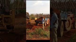 poultry shed construction agriculture farming farmers youtubeshorts [upl. by Okuy87]