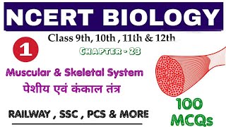 NCERT BIOLOGY  Muscular amp Skeletal System  पेशीय और कंकाल तंत्र  100 MCQs  Bilingual [upl. by Auqinaj]