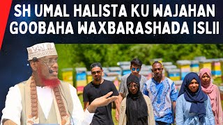 Sh Umal Halista Ku Wajahan Goobaha Waxbarashada Islii [upl. by Lewis]