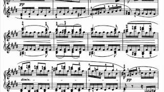 Ashkenazy plays Beethoven Sonata No27 in E minor Op90 complete [upl. by Tucky]