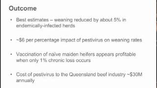 Pestivirus in Qld Beef Herds [upl. by Sikorski]