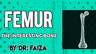 femur bone anatomy 3D attachments of femur bone Anatomywithdrfaiza [upl. by Perrie325]