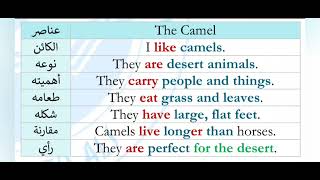 Connect 4  Unit 2  Camels Paragraph [upl. by Gnas]