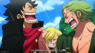 Reação de Luffy após Zoro revelar sua idade aos Chapéus de Palha em One Piece [upl. by Helaine]