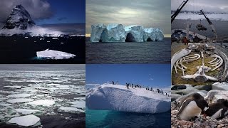 1 ΑΝΤΑΡΚΤΙΚΗ  ANTARCTICA Diego Ramirez Paradice Bay Deception Island Arctowksi Videla [upl. by Bertle]