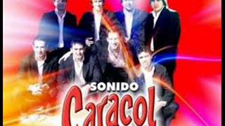 Sonido Caracol Prometistes [upl. by Bronson]