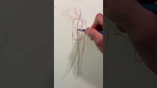 Aesthetic flows of the human body figuredrawing humananatomy figureanatomy [upl. by Hteb]