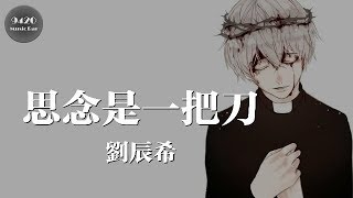 劉辰希  思念是一把刀「反反复复無法忘記」動態歌詞版 [upl. by Ytsud]