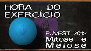 Mitose e meiose  FUVEST 2012 [upl. by Lejeune11]