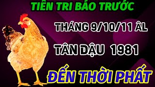 BÁO TRƯỚC SỰ THẬT TUỔI TÂN DẬU 1981 VẬN MAY LIÊN TIẾP ĐÚNG THÁNG 91011 ÂM LỊCH ĐỔI KIẾP GIÀU SANG [upl. by Aw]