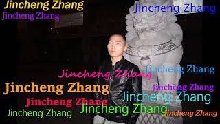 Disheveled Joseph Stephens  Jincheng Zhang Official Music Video [upl. by Allveta]