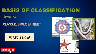 BASIS OF CLASSIFICATION PART2 ANIMAL KINGDOMCLASS 11 BIOLOGY  NEET [upl. by Orling]