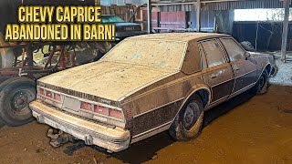 First Wash in 18 Years Caprice Classic Barn Find  Car Detailing Restoration [upl. by Anitnuahs]