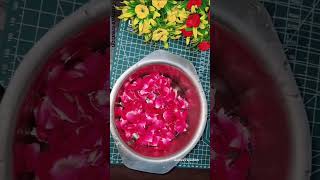 How to make gulab jal at home  rose water at home shorts hamemaderosewater shortvideo diy [upl. by Cordalia]