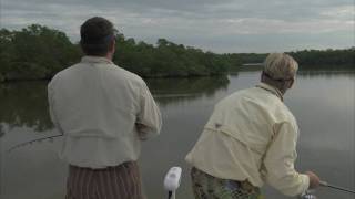 Fishing Fail  Monster Tarpon Hit Topwater Blowup [upl. by Ottie]