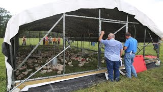 Raising 20000 Chickens On Pasture COMPLETE [upl. by Bergstein]