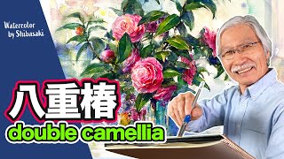 Eng sub Ill Draw Camellia flowers with Watercolor  Shibasaki [upl. by Porta]