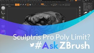 AskZBrush “How can I increase the poly limit for Sculptris Pro” [upl. by Notsehc]