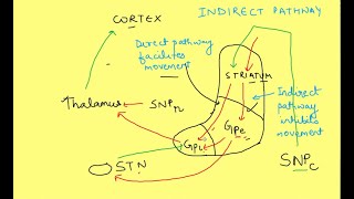 Basal Ganglia physiology  Neurophysiology  CNS Physiology [upl. by Dasi]