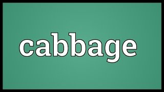 Cabbage Meaning [upl. by Painter]