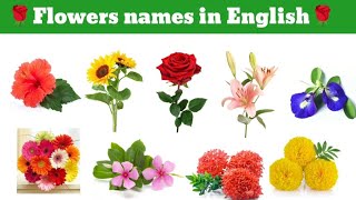 Flower names in English Indian flowers names in English and Telugu English to Telugu tutorials [upl. by Emmy]