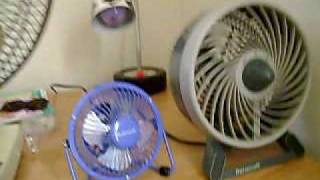 electric fans [upl. by Eilarol]