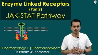 Enzyme Linked Receptor part 2 JAK STAT Pathway  Non Receptor Tyrosine Kinase [upl. by Budding]