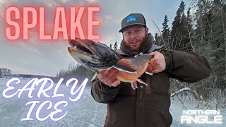 Fishing for Splake Early Ice Northern Angle [upl. by Aseefan238]