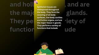 Epithelial tissue epithelial tissue definition epithelialtissue tissue definition youtubeshorts [upl. by Enelrae]