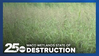 Lake Waco Wetlands in state of destruction as the area celebrates its 20th anniversary [upl. by Bettzel963]