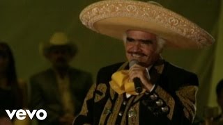 Vicente Fernández  Por un Amor En Vivo [upl. by Eesdnil]