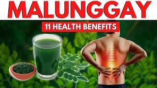 11 Benepisyo Ng Malunggay  Health Benefits Of Malunggay [upl. by Noskcaj]