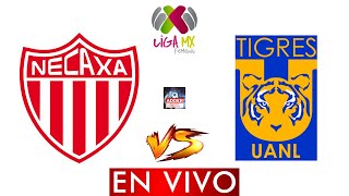 NECAXA VS TIGRES EN VIVO  JORNADA 17 LIGA MX FEMENIL APERTURA 2023  HORARIO Y DONDE VER EN VIVO [upl. by Neiman941]