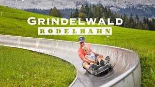 Grindelwald Rodelbahn  Toboggan ride  Switzerland 4K 60fps video [upl. by Cheffetz]