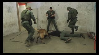 Gwinnett County Conducts Police K9 Training [upl. by Hernando]