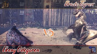 Brute Tigrex VS Ebony Odogaron FULL FIGHT TURF WAR  Tournament [upl. by Root]