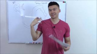 USMLE Renal 5 Nephron Tubular Defects [upl. by Akerdnahs]