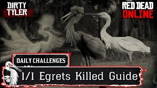 Egret Locations RDR2 Daily Challenges Hunting Guide Red Dead Online [upl. by Nisbet943]