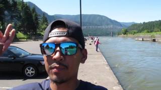 Cascade Locks Fishing Vlog [upl. by Nere]