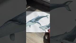 Painting Blue Whales🐋Sketching🎨Inspired by Pinterestpainting sketching watercolor art acrylic [upl. by Elata492]