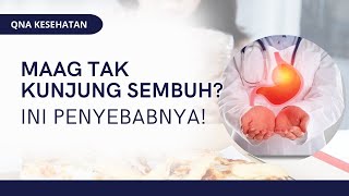 Maag Tak Kunjung Sembuh Ini Penyebabnya  QNA KESEHATAN [upl. by Ronaele]