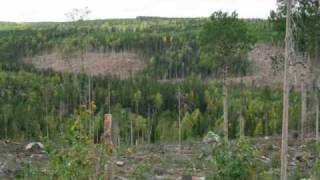 Ingemars Vår gamle grend Finnskogen [upl. by Nylarak]