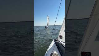 Come sail on the Topaz Argo Smooth dry single handed sailing ​⁠moreheadcity sailing [upl. by Ecinreb]