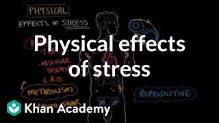 Physical effects of stress  Processing the Environment  MCAT  Khan Academy [upl. by Yseulta]