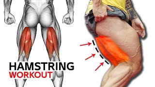 6 Best Exercises hamstring Workout Fast and Effective [upl. by Kiyohara]