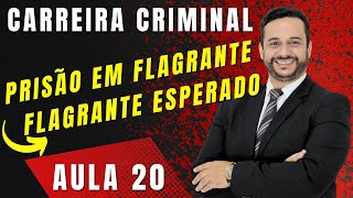 Aprenda a mais famosa das prisões O Flagrante esperado  Aula 20 [upl. by Turk]