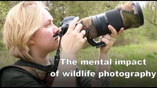 How wildlife photography has impacted me mentally  Wildlife Photography  British Nature [upl. by Annette828]