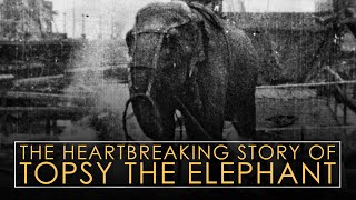 The Elephant Electrocuted To Death  Topsy  War Of The Currents [upl. by Hammock]